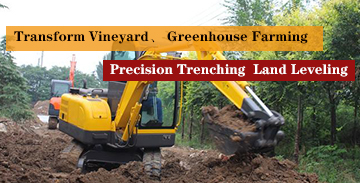 Mini Compact Excavators Transform Vineyard and Greenhouse Farming: Precision Trenching & Land Leveling Solutions